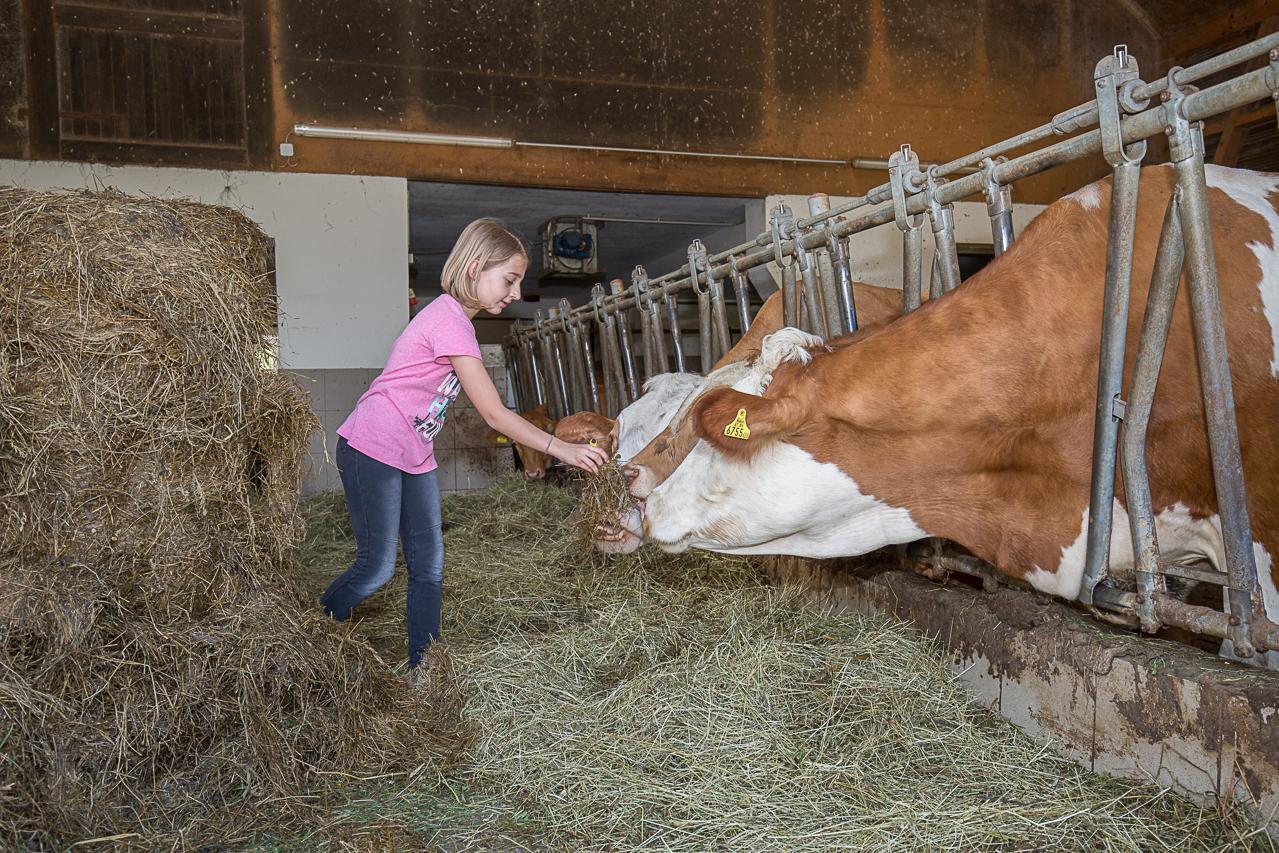 Ferienhof Pfaffenlehen Maria Neustift エクステリア 写真