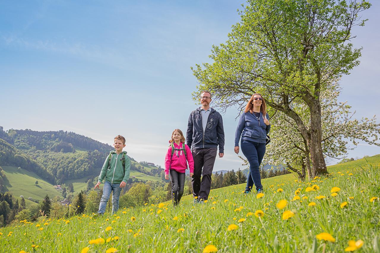 Ferienhof Pfaffenlehen Maria Neustift エクステリア 写真